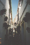 ruelle_p.jpg (4354 octets)
